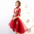 Floral Embroidery Tulle Skirt Chinese Stylee Lace Dovetail Dress