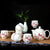 Bird & Floral Paint Porcelain Kung Fu Tea Set Cups & Teapot 7 Pieces