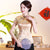 Short Sleeve Dragon & Phoenix Pattern Brocade Chinese Shirt