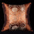 Pair of Auspicious Pattern Traditional Chinese Cushion Covers