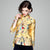 Mantel im chinesischen Stil mit Phönix- und Blumenstickerei