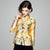 Phoenix & Floral Embroidery Chinese Style Coat