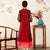 Han Chinese Costume with Transparent Blouse Two-piece Chinese Dress