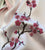 Handgemachter Blumenstickerei-Top-Level-Schal aus 100% Naturseide