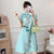 Short Sleeve Floral Modern Cheongsam Chic Plus Size A-Line Dress