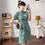 Dragons Pattern Short Sleeve Modern Cheongsam Chic Plus Size A-Line Dress