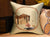 Chinese House Embroidery Brocade Traditional Cushion Covers