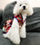 Robe chinoise traditionnelle en brocart floral Cheongsam pour chien en peluche