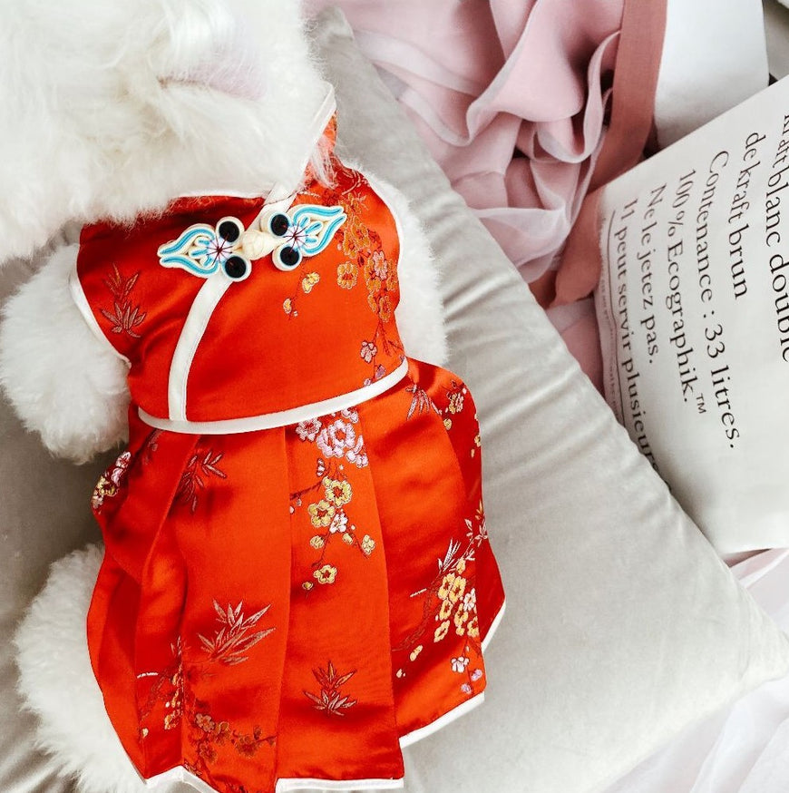 Floral Brocade Traditional Qipao Chinese Dress for Dog Teddy