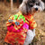 Kimono de brocado con abrigo acolchado de lazo para perro Teddy
