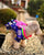 Traditional Korea Costume Hanbok with Bownot for Dog Teddy