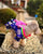 Costume Traditionnel Coréen Hanbok avec Bownot pour Chien Teddy