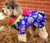 Traditional Korea Costume Hanbok with Bownot for Dog Teddy