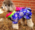 Traditionelles koreanisches Kostüm Hanbok mit Schleife für Hundeteddy