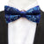 Business Style Floral Pattern Oriental Gentleman Double Bow-tie