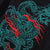 Chinese Dragon Embroidery 100% Cotton Short Sleeve Unisex T-shirt