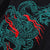 Camiseta unisex de manga corta 100% algodón con bordado de dragón chino