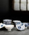 Chinese Porcelain Kung Fu Tea Set 10 Tea Cups