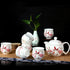 Set da tè Kung Fu in porcellana con pittura floreale e uccelli, tazze e teiera 7 pezzi