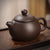 Traditionelle chinesische Keramik-Teekannen-Tassen & Caddy-Reiseset