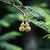 Boucles d'oreilles en dorure de style chinois en jade vert en forme de gourde