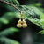 Orecchini dorati in stile cinese di giada verde a forma di zucca