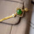 Laternen-Anhänger aus grüner Jade mit Quasten-Vergoldung-Halskette