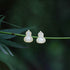 Orecchini dorati in stile cinese con cloisonne e perle floreali